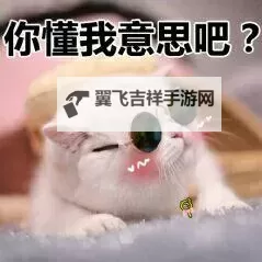 资源你懂我意思吧：揭示隐藏背后的秘密与价值图1