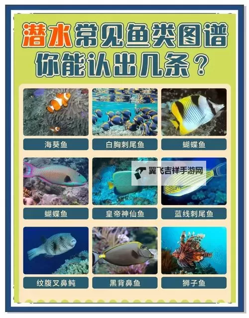 《贝贝捕鱼》新手攻略:萌新船长成长技巧指南!图1