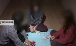 韩国人打扑克没马赛克：趣味瞬间引发热议
