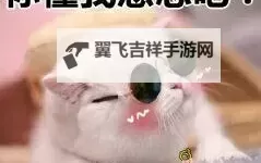 资源你懂我意思吧：揭示隐藏背后的秘密与价值