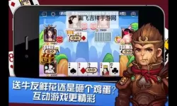 牛牛成人视频一区二区：精彩内容一网打尽