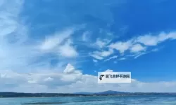 《幻兽帕鲁》十大必抓功能性帕鲁推荐