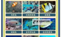 《贝贝捕鱼》新手攻略：萌新船长成长技巧指南！