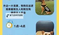 与狗狗做了四个小时都没事：宠物主人真实体验分享
