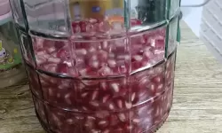 如何在家轻松制作美味自制葡萄酒视频教程