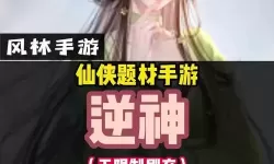有没有逆神双开软件推荐 深度解答如何双开逆神