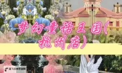 有没有童话王国双开软件推荐 深度解答如何双开童话王国