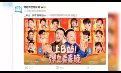 畅享无限精彩：永久免费B站直播尽在这里！