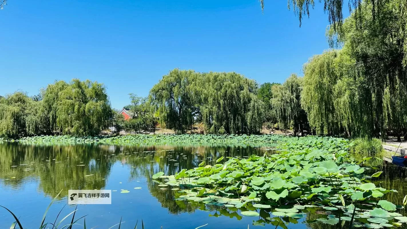 醉美的夏天:在阳光与海浪之间的梦幻时光图1