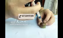 用注射器打水放屁免费视频：趣味实验与趣味展示精彩合集