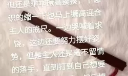打扑克又痛又叫视频：精彩瞬间大揭秘