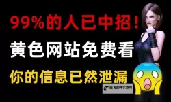 探索最新的色网入口：畅享多彩娱乐世界