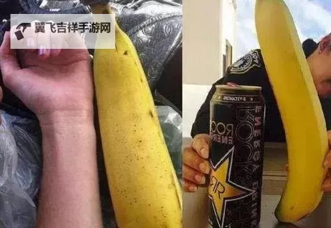 【最新网址】大香蕉易人网:最全资源分享平台解析图1