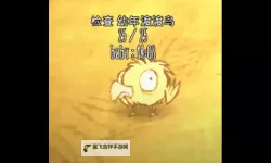 《饥荒》海难渡渡鸟捕捉及驯养图文指南 渡渡鸟怎么养