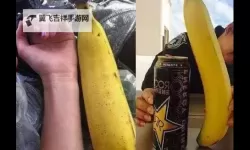 【最新网址】大香蕉易人网：最全资源分享平台解析