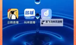 有没有体育英雄双开软件推荐 深度解答如何双开体育英雄