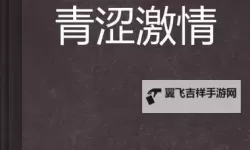 激情文学激情视频综合网：探索极致情感与视觉盛宴的完美结合