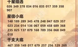 最新3D开机号试机号全掌握，助您轻松选号