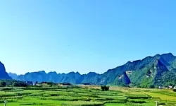 《遗迹2》全BOSS特殊击杀方式一览 全BOSS特殊击杀攻略