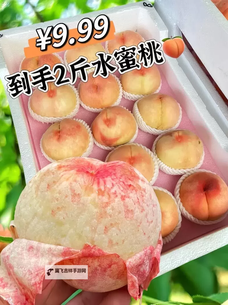 享受畅快体验:最新水蜜桃视频福利推荐图1