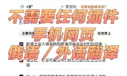 成人网站俄罗斯：探索俄罗斯成人内容的现状与发展