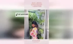 如何免费观看最新电影？一起草在线播放带您畅享高清内容