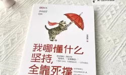 逆境中的光芒：铸就最后的坚强