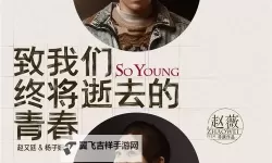 致我们终将逝去的青春BD：那段最美的年华难以忘怀
