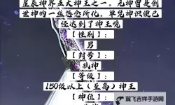 魂武如何双开 2021最新双开神器来袭