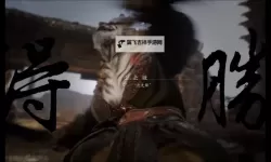 《黑神话悟空》九禁虎先锋无伤逐帧打法教学