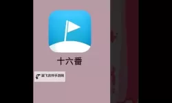 斗中逗双开神器 轻松一键搞定斗中逗挂机双开
