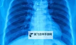 胸片曝光免费观看大全：最新最全的高清资源推荐