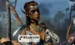 《博德之门3》战后自动补充资源MOD分享