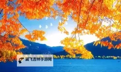 探索日本一卡二卡三卡四卡无卡国色天香的独特魅力与文化风采