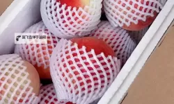 畅享甜蜜时刻——蜜桃精品让味蕾盛宴无限！
