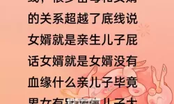 岳婿合体10章之后还有原著吗：后续剧情与原著的关系解析