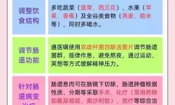 公厕人形尿便器调教粪便的创新设计与使用体验分析