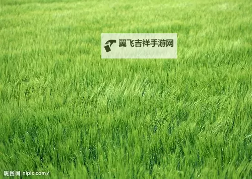 青青草yi：春日里的绿意诗行图1