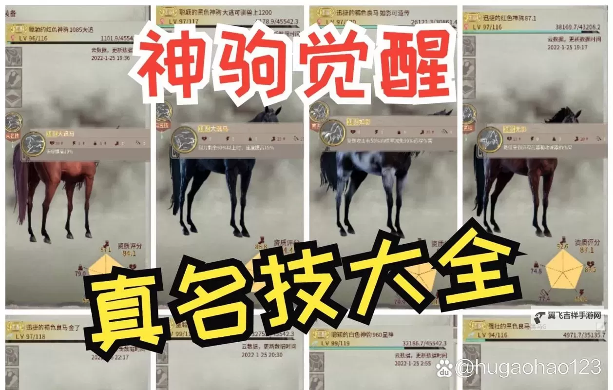 《帝国神话》量产神驹教程 怎么培育优良马匹图1