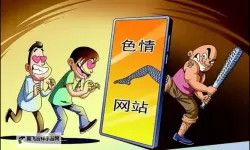 关于www.色com.群众：探索网络内容中的群体文化与传播现象