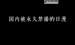打造极致体验：国产永久播放技术全新升级