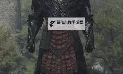《龙之信条2》防具收集攻略 防具怎么获得
