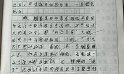 趣味十足的童年记忆：坐在木马的木棒上比赛作文