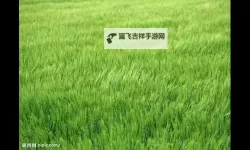 青青草yi：春日里的绿意诗行