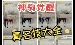 《帝国神话》量产神驹教程 怎么培育优良马匹