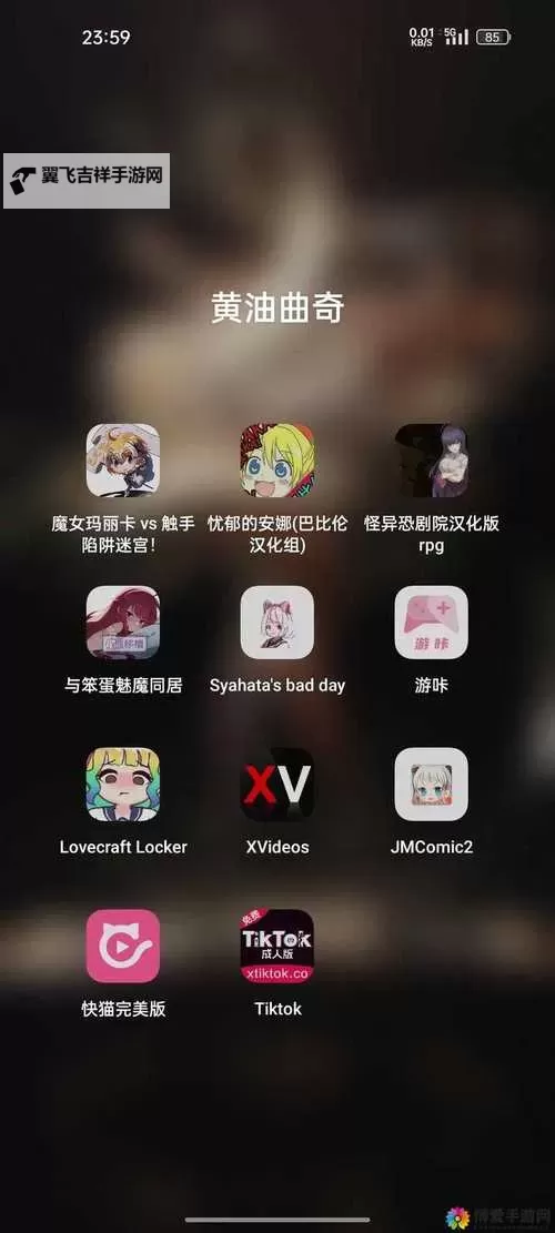 揭秘夜晚十大禁用网站：你未曾了解的隐秘禁区图1