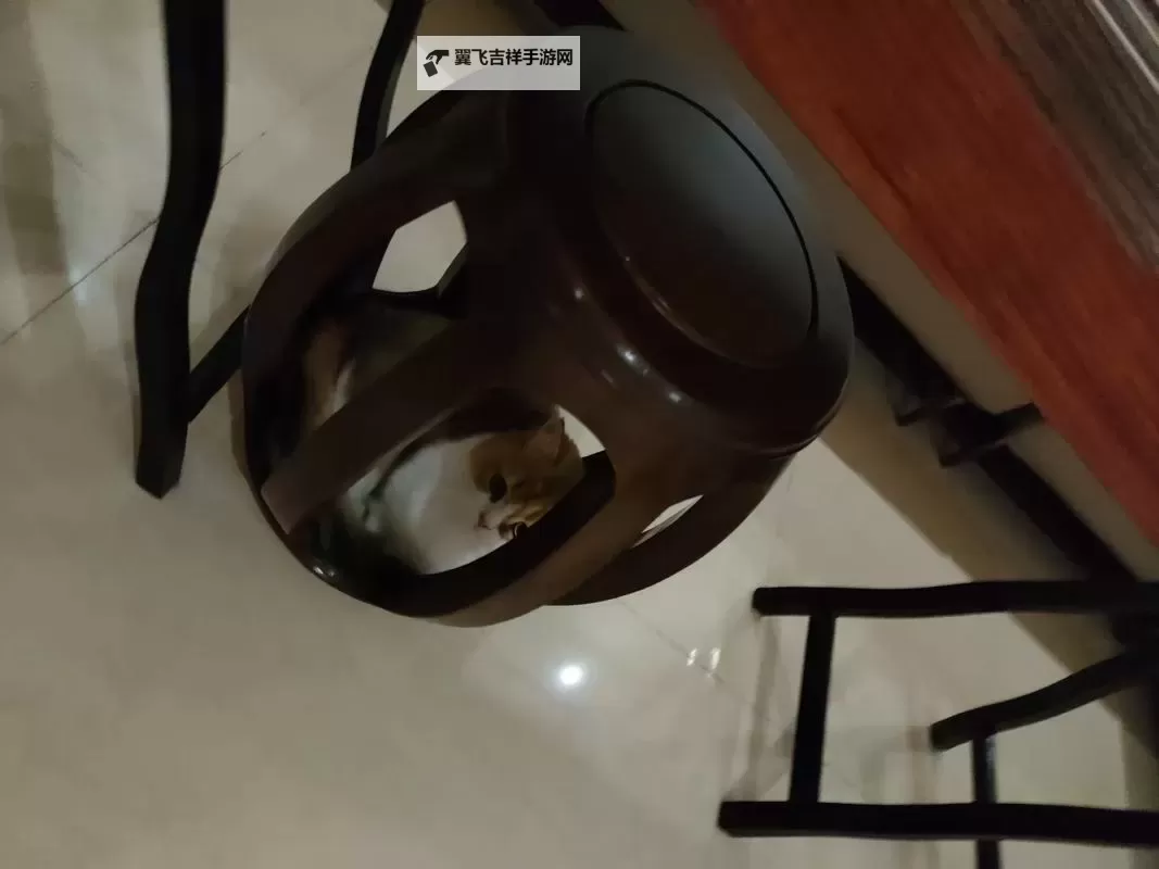 只可以晚上偷偷看的东西:夜色中的秘密遐想图1
