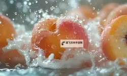 【最新发布】lyx水蜜桃视频精彩内容全解析