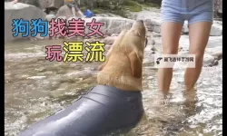 怎么都玩不够你：那些让人沉醉忘返的瞬间