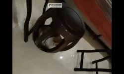 只可以晚上偷偷看的东西：夜色中的秘密遐想